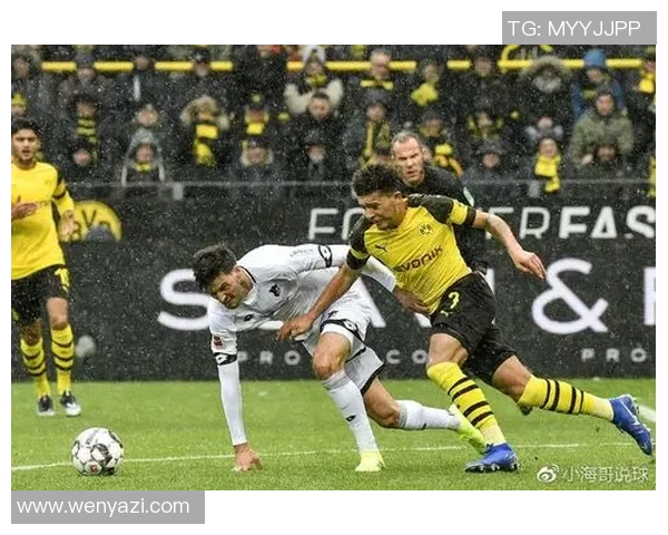 2019年纽伦堡与多特蒙德激战回顾及赛季表现分析