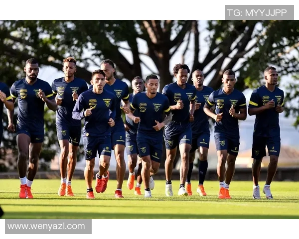 巴西与厄瓜多尔足球对决分析及赛前预测详解