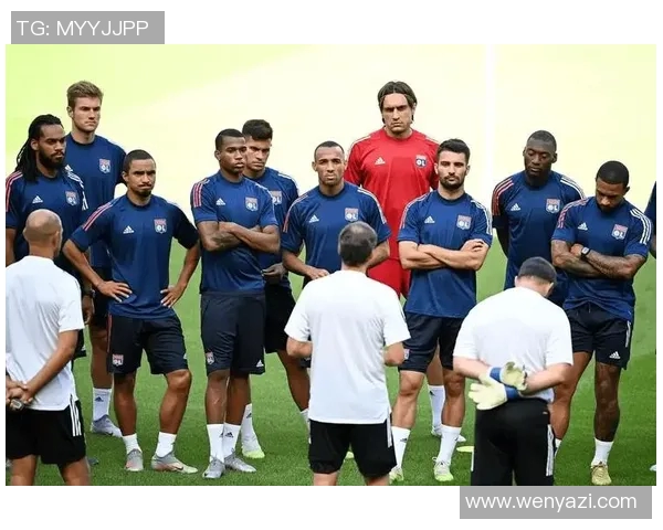 2017年里昂与摩纳哥激战回顾：一场精彩绝伦的法甲对决