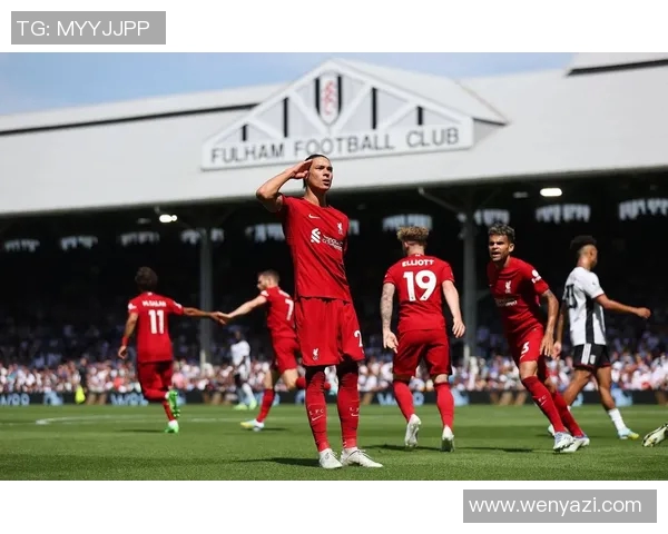 努涅斯在赛季中的崛起与挑战分析，展望未来的足球生涯与发展潜力