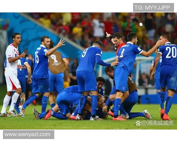 法国与瑞典精彩对决全场录像回放及精彩瞬间分析