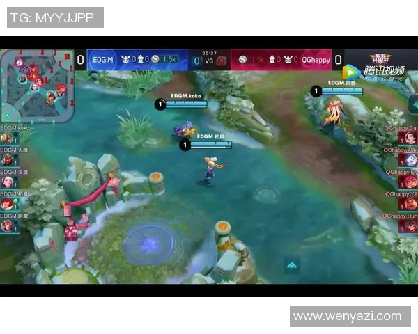 深入探讨EDG战队在比赛中的技术表现与数据分析结果