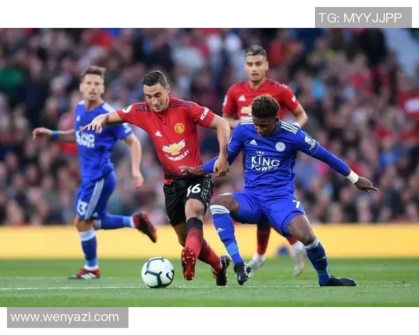 菜切城与纽卡斯的激烈对决谁能在英超赛场上笑到最后