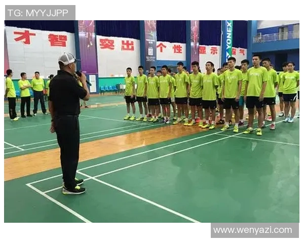 深圳羽毛球队防反策略分析及其在比赛中的成效与不足之处探讨