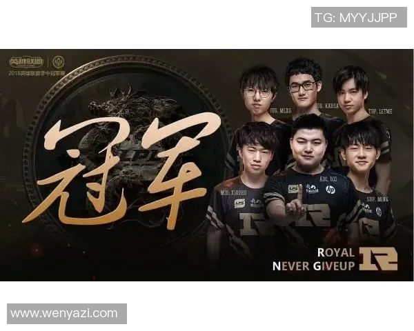 独家解析RNG团队协作优势与不足的全面对比分析